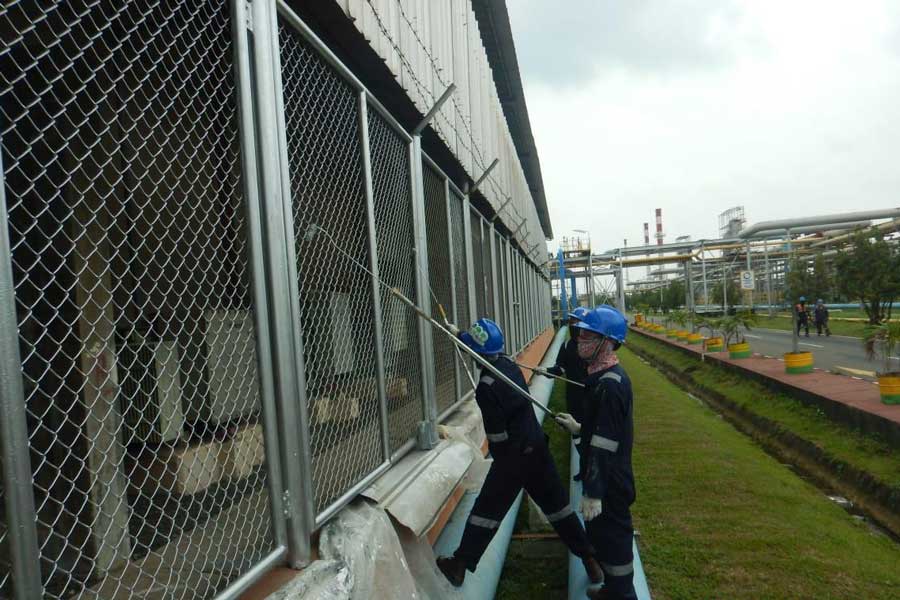 morillo coatings